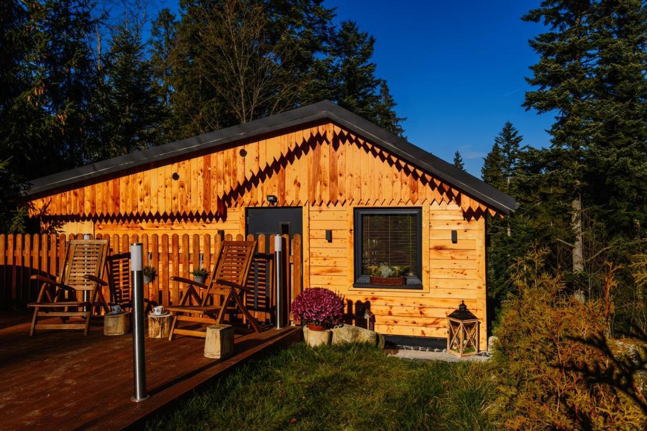 Domek Lesny Zakopane Exterior foto