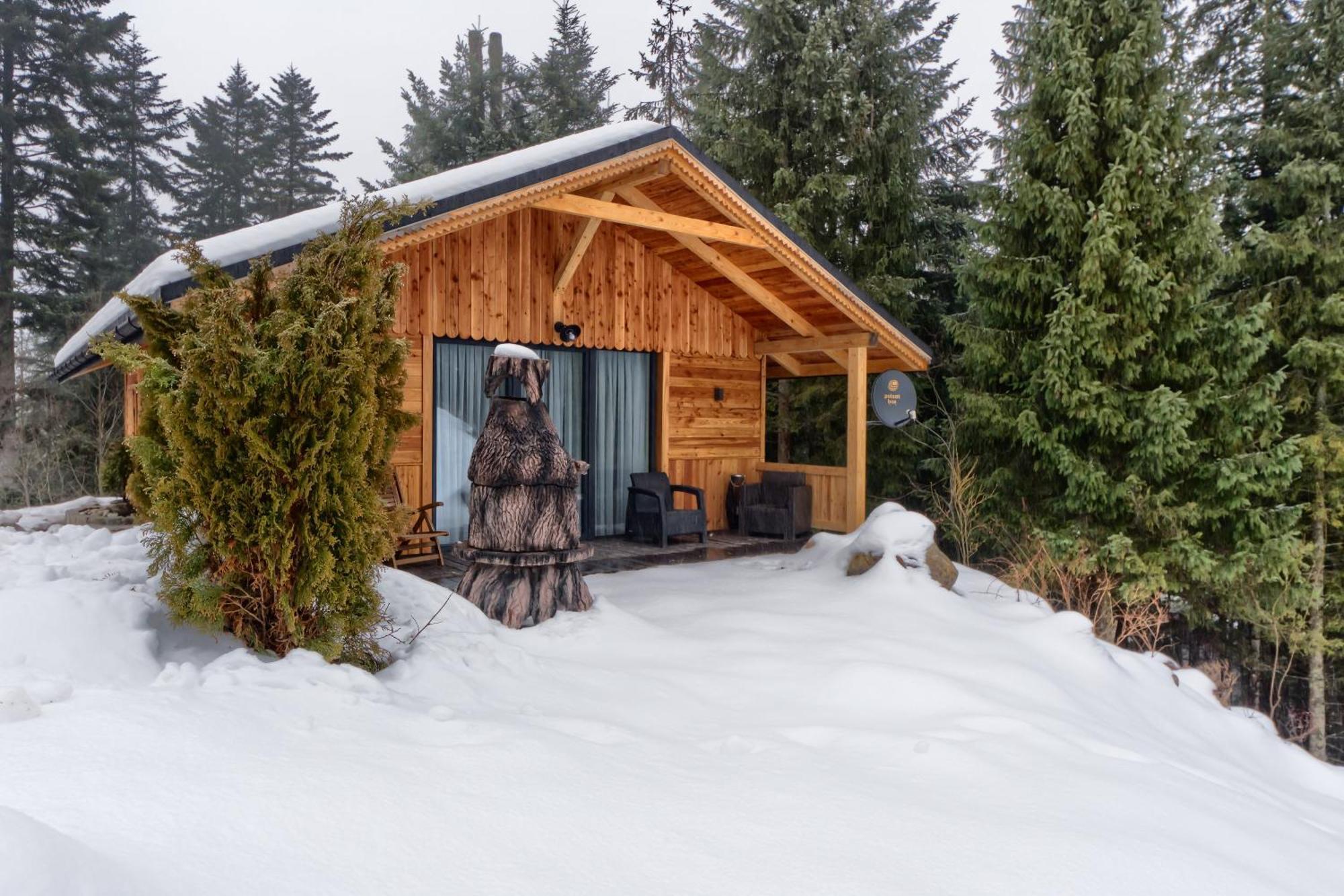Domek Lesny Zakopane Exterior foto