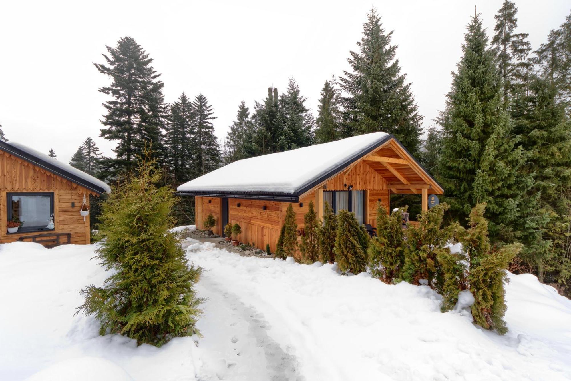 Domek Lesny Zakopane Exterior foto